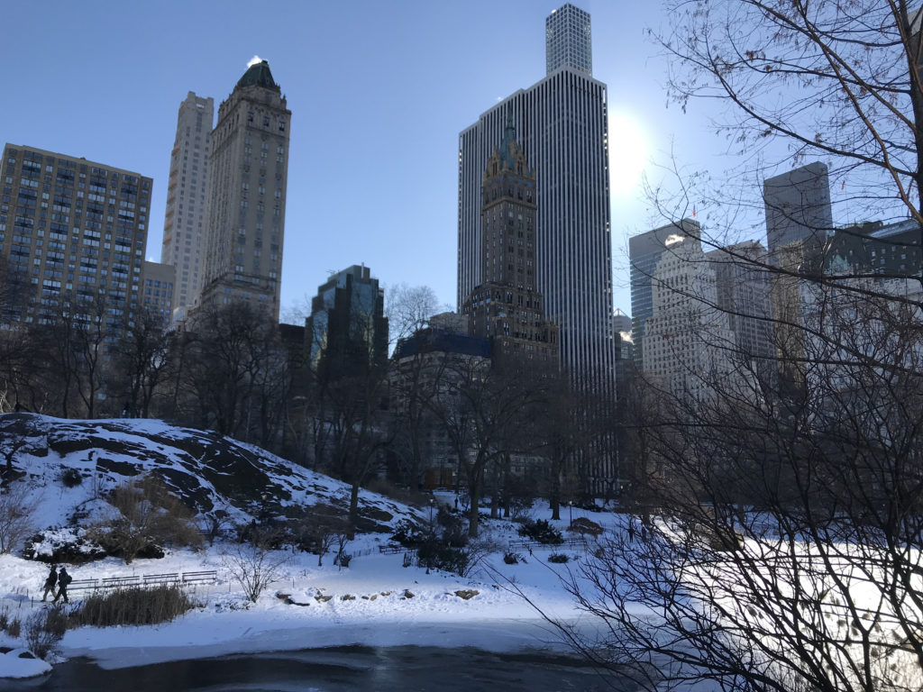 Snow Covered Centeraled park